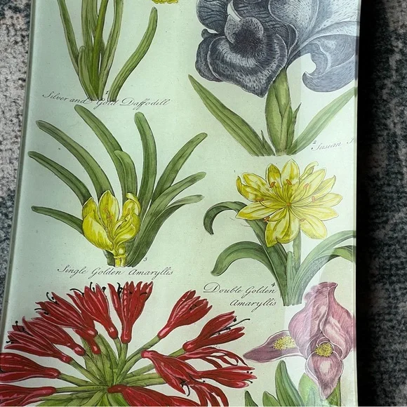 🆕 SIGNED John Derian Floral Print Dish Tray Plate Catch All Design Hanging Art - Picture 5 of 13